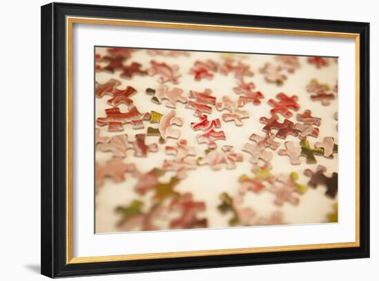 Puzzle III-Karyn Millet-Framed Photographic Print