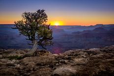 Grand Canyon National Park Arizona-pxhidalgo-Framed Premier Image Canvas