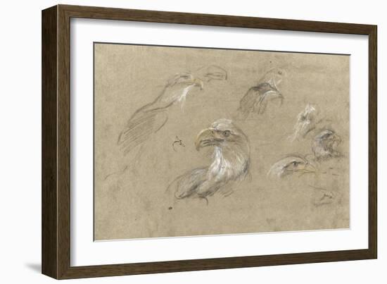 Pygargues à têtes blanches-Pieter Boel-Framed Giclee Print