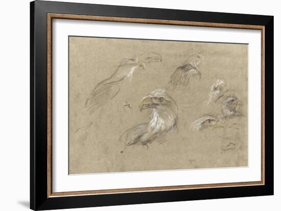 Pygargues à têtes blanches-Pieter Boel-Framed Giclee Print