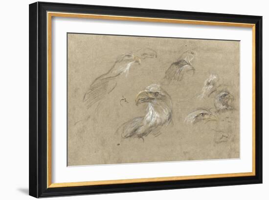 Pygargues à têtes blanches-Pieter Boel-Framed Giclee Print