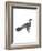 Pygmy Cormorant-Maria Mendez-Framed Giclee Print