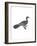 Pygmy Cormorant-Maria Mendez-Framed Giclee Print