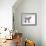 Pygmy Goat-DLILLC-Framed Photographic Print displayed on a wall