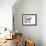 Pygmy Goat-DLILLC-Framed Photographic Print displayed on a wall