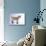 Pygmy Goat-DLILLC-Mounted Photographic Print displayed on a wall