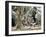 Pygmy Women and Children Outside Huts, Central African Republic, Africa-Ian Griffiths-Framed Photographic Print