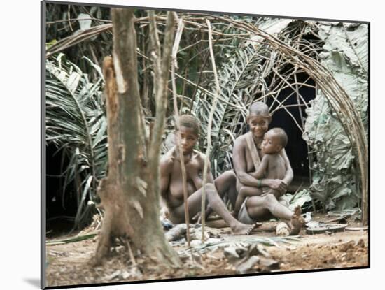 Pygmy Women and Children Outside Huts, Central African Republic, Africa-Ian Griffiths-Mounted Photographic Print