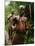 Pygmy Young Men Armed with Bows and Arrows Hunt-null-Mounted Photographic Print