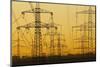 Pylons and power lines in morning light, Germany, Europe-Hans-Peter Merten-Mounted Photographic Print