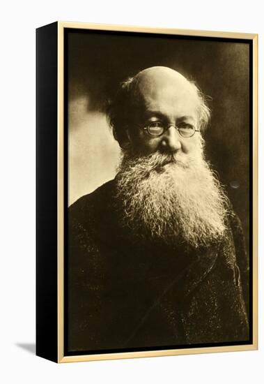 Pyotr Alexeyevich Kropotkin, Russian Anarchist, C1900-Felix Nadar-Framed Premier Image Canvas