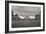 Pyramid at the Louvre I-Rita Crane-Framed Photographic Print