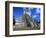 Pyramid at Tikal-Alison Wright-Framed Photographic Print