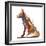 Pyramid fox, 2021, (mixed media)-Mark Adlington-Framed Giclee Print