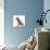 Pyramid fox, 2021, (mixed media)-Mark Adlington-Mounted Giclee Print displayed on a wall