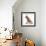 Pyramid fox, 2021, (mixed media)-Mark Adlington-Framed Giclee Print displayed on a wall