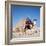 Pyramid Giza Egypt Man on Camel-null-Framed Photographic Print