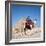 Pyramid Giza Egypt Man on Camel-null-Framed Photographic Print