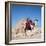 Pyramid Giza Egypt Man on Camel-null-Framed Photographic Print