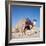 Pyramid Giza Egypt Man on Camel-null-Framed Photographic Print