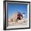 Pyramid Giza Egypt Man on Camel-null-Framed Photographic Print