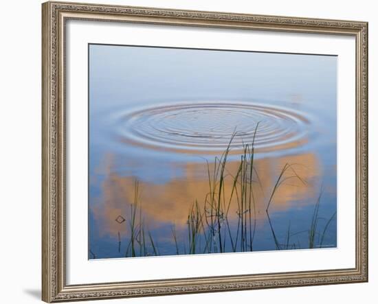 Pyramid Lake, Jasper National Park, Alberta, Rockies, Canada-Peter Adams-Framed Photographic Print