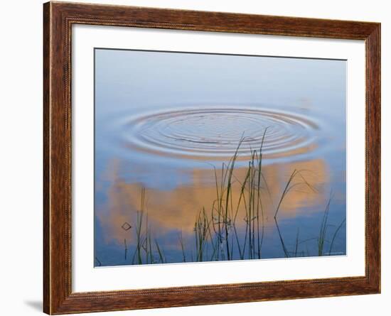 Pyramid Lake, Jasper National Park, Alberta, Rockies, Canada-Peter Adams-Framed Photographic Print