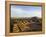 Pyramid of the Sun at Teotihuacan, Valle De Mexico, Mexico, North America-Christian Kober-Framed Premier Image Canvas