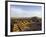 Pyramid of the Sun at Teotihuacan, Valle De Mexico, Mexico, North America-Christian Kober-Framed Photographic Print