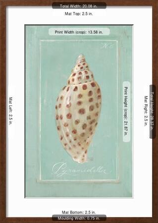 Pyramid Shell Art Print Hardenbrook Studio Art Com