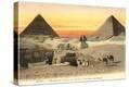 Stretched Canvas Print