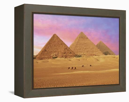 Pyramids at Sunset, Giza, Cairo, Egypt-Miva Stock-Framed Premier Image Canvas