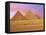 Pyramids at Sunset, Giza, Cairo, Egypt-Miva Stock-Framed Premier Image Canvas