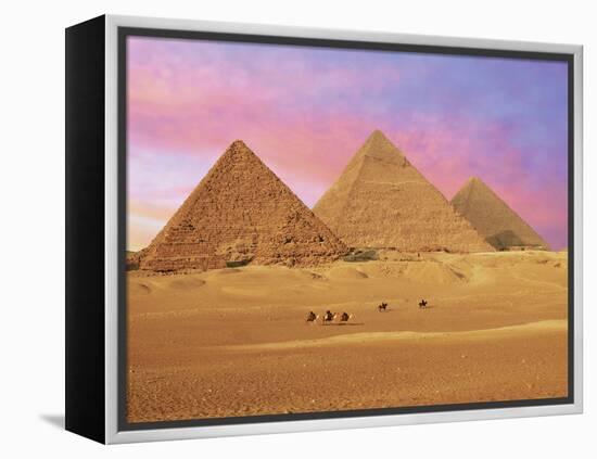 Pyramids at Sunset, Giza, Cairo, Egypt-Miva Stock-Framed Premier Image Canvas
