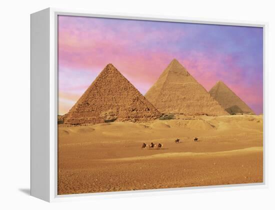 Pyramids at Sunset, Giza, Cairo, Egypt-Miva Stock-Framed Premier Image Canvas