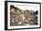 Pyrenean Mountain Dog Protecting Sheep-null-Framed Photographic Print