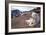 Pyrenean Mountain Dog Protecting Sheep-null-Framed Photographic Print