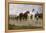 Pyrenees Farmers Market Bound, 1884-Rosa Bonheur-Framed Premier Image Canvas