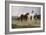 Pyrenees Farmers Market Bound, 1884-Rosa Bonheur-Framed Giclee Print