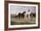 Pyrenees Farmers Market Bound, 1884-Rosa Bonheur-Framed Giclee Print