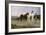 Pyrenees Farmers Market Bound, 1884-Rosa Bonheur-Framed Giclee Print