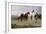 Pyrenees Farmers Market Bound, 1884-Rosa Bonheur-Framed Giclee Print