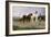 Pyrenees Farmers Market Bound, 1884-Rosa Bonheur-Framed Giclee Print