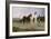 Pyrenees Farmers Market Bound-Rosa Bonheur-Framed Giclee Print