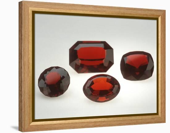 Pyrope Garnets-null-Framed Premier Image Canvas