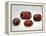 Pyrope Garnets-null-Framed Premier Image Canvas