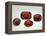 Pyrope Garnets-null-Framed Premier Image Canvas