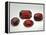 Pyrope Garnets-null-Framed Premier Image Canvas