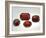 Pyrope Garnets-null-Framed Photographic Print