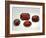 Pyrope Garnets-null-Framed Photographic Print